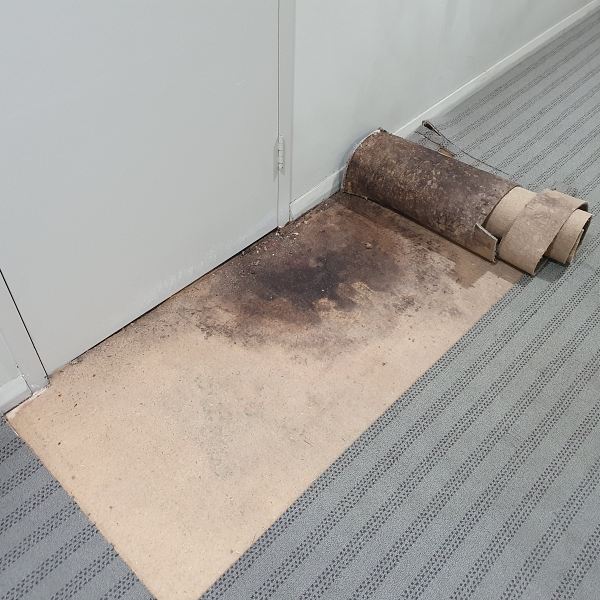 Carpet Repair Ashfield